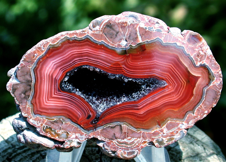 Baker Thunderegg